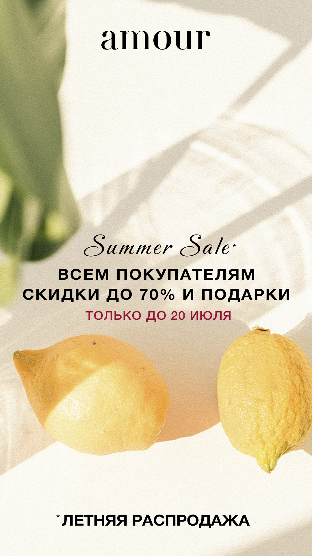 NEW IN Summer Sale
